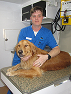 Chip Mullins - Veterinary Assistant