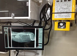 Our mobile vet X-ray equipment